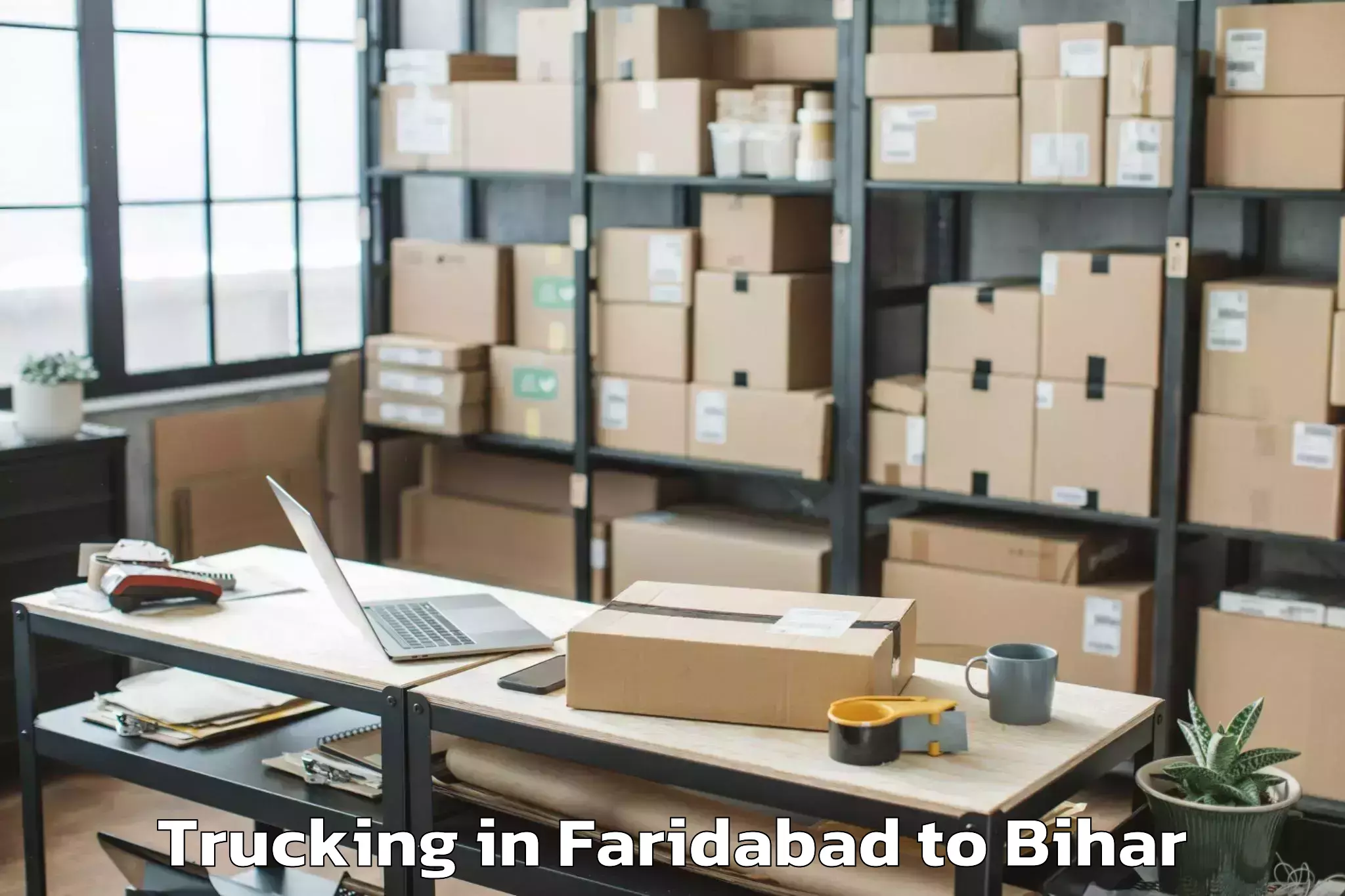 Easy Faridabad to Singhwara Trucking Booking